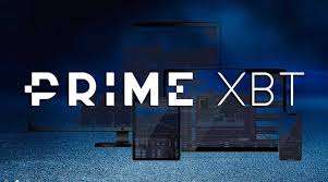 Comprehensive Insights and Reviews PrimeXBT