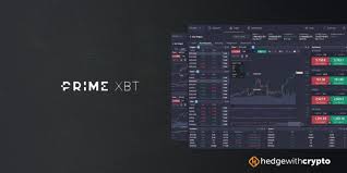 Comprehensive Insights and Reviews PrimeXBT