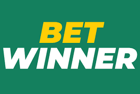 Experience Excitement at Casino BetWinner