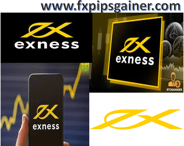 Unlocking the Potential of Exness API for Automated Trading